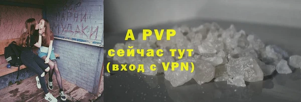 дмт Шадринск