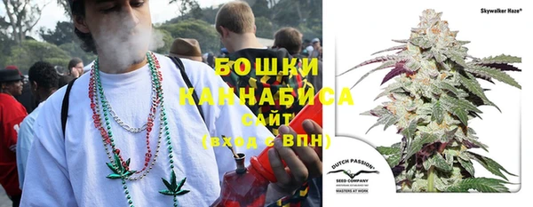 дживик Дмитриев