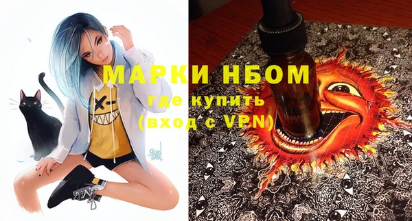 стафф Дмитров