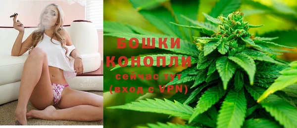 стафф Дмитров