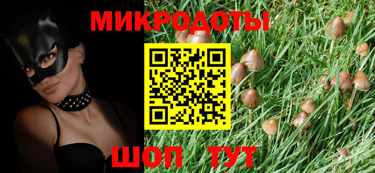Псилоцибиновые грибы GOLDEN TEACHER Назарово