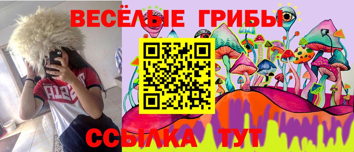 Галлюциногенные грибы прущие грибы Назарово