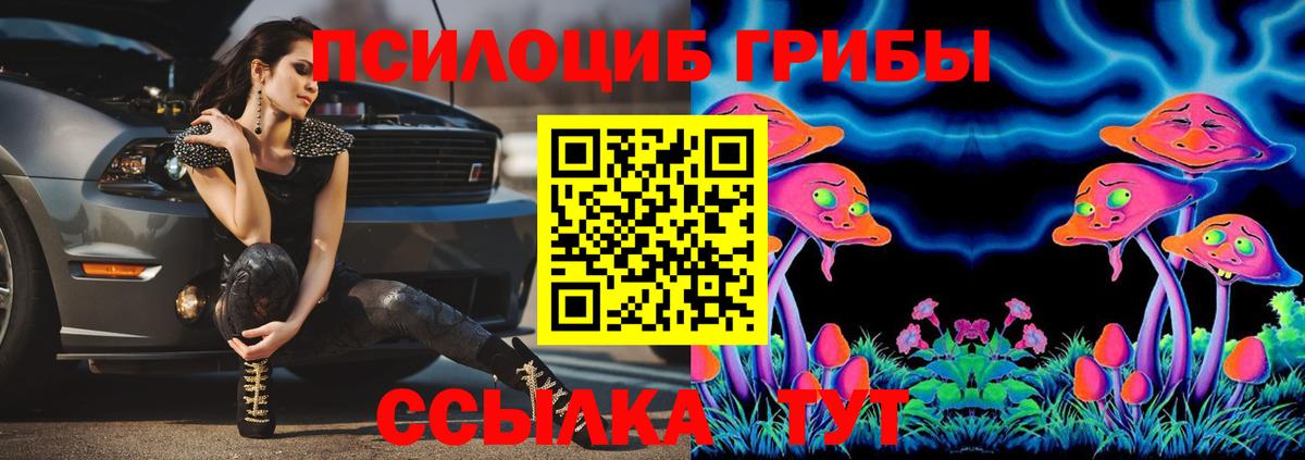 Псилоцибиновые грибы мицелий  Назарово 